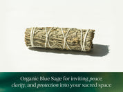 Organic Blue Sage Herb Bundle