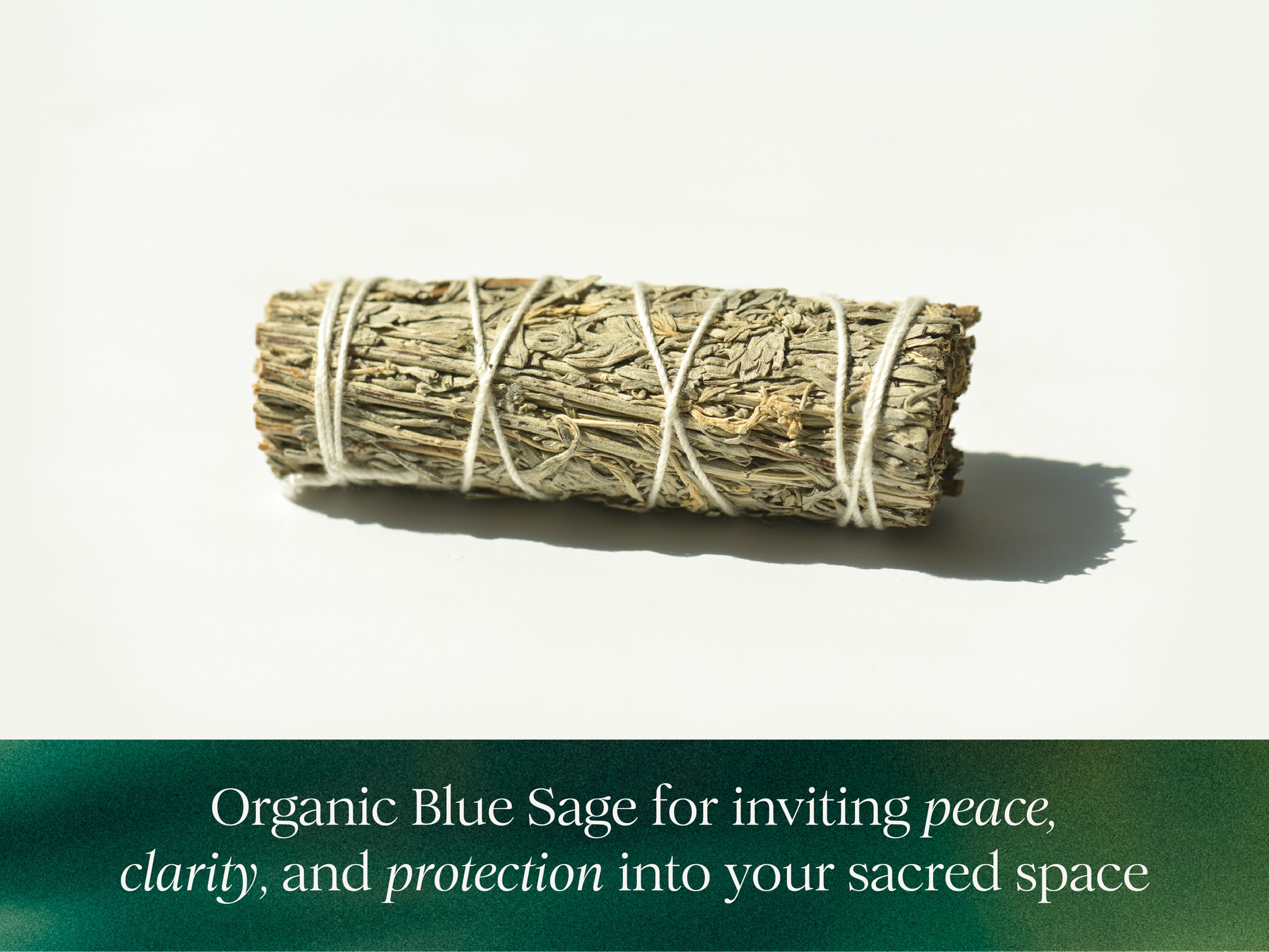 Organic Blue Sage Herb Bundle