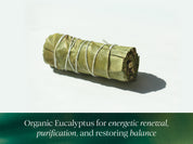 Organic Eucalyptus Herb Bundle