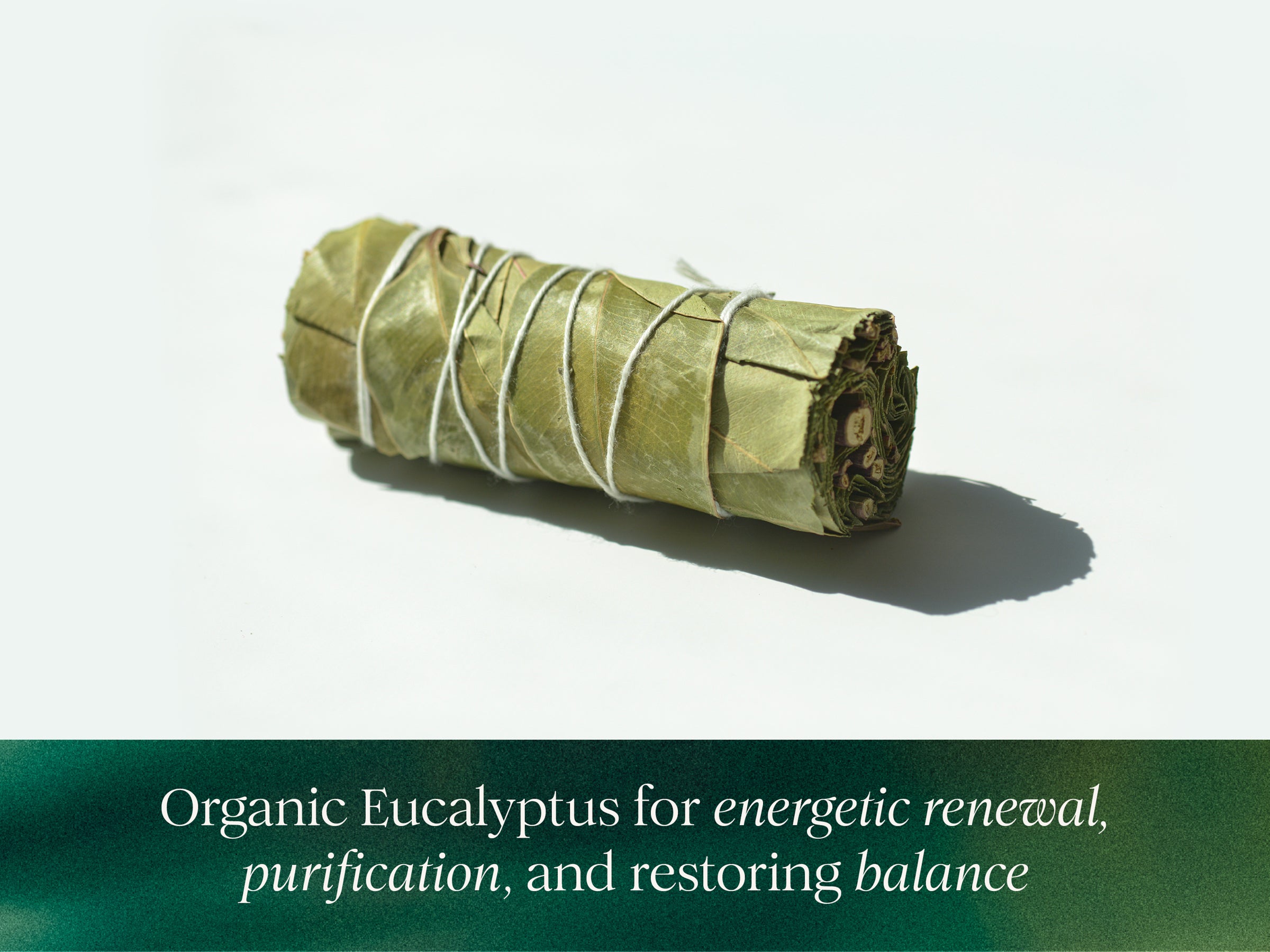 Organic Eucalyptus Herb Bundle