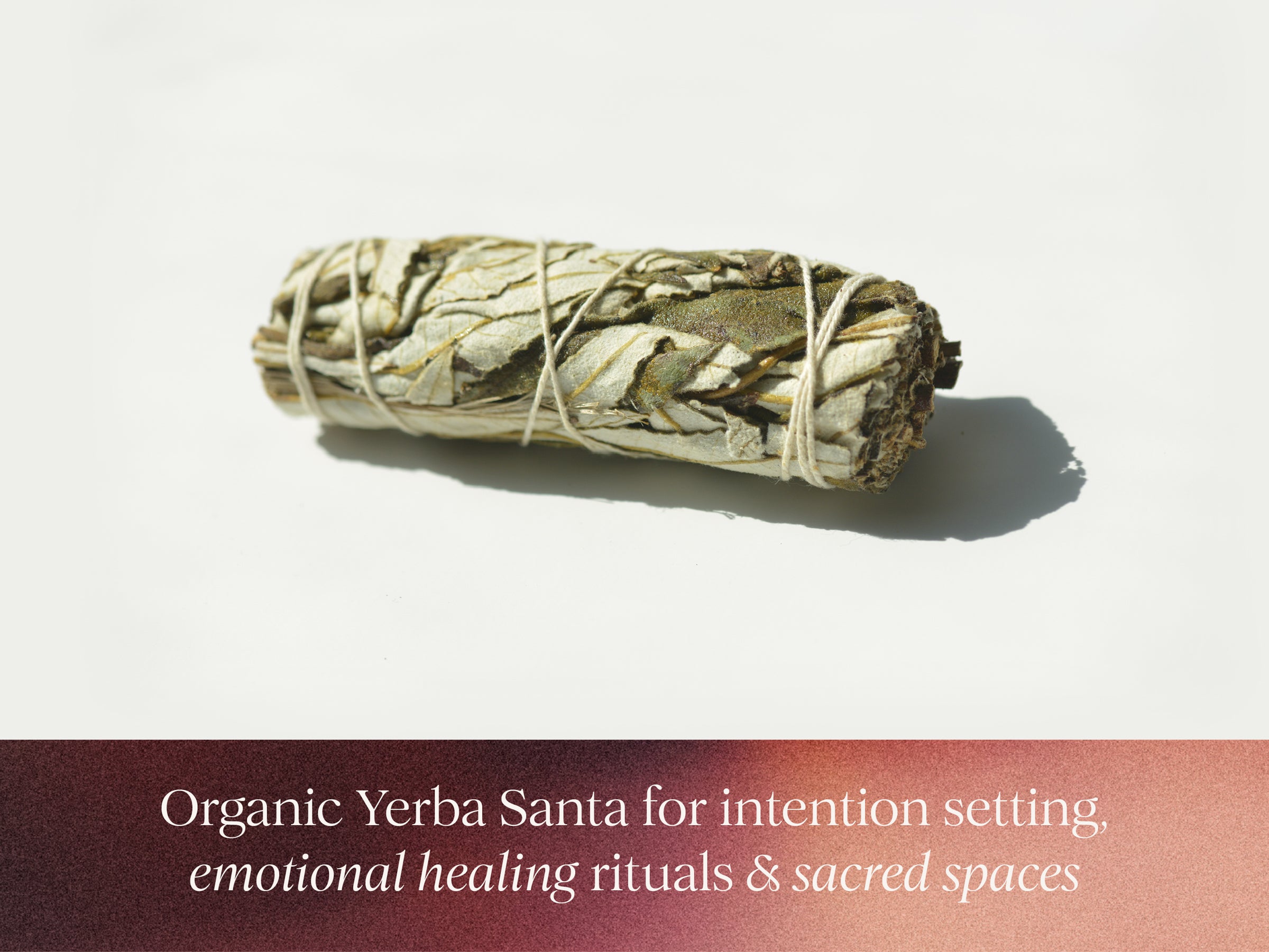 Organic Yerba Santa Herb Bundle